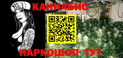 МДПВ Обь
