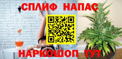 МДПВ Обь