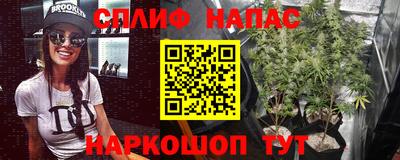 МДПВ Обь